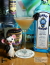 Polish Sidecar