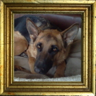 Kona